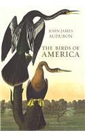 The Birds of America