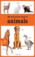 My First Picture Book of Animals