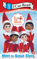 Elf on the Shelf: Meet the Scout Elves