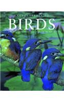 Encyclopedia of Birds