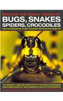 Explore the Deadly World of Bugs, Snakes, Spiders, Crocodiles