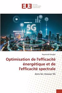 Optimisation de l'efficacité énergétique et de l'efficacité spectrale