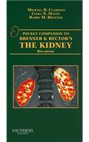 Pocket Companion to Brenner & Rector's the Kidney