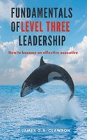 Fundamentals of Level Three Leadership