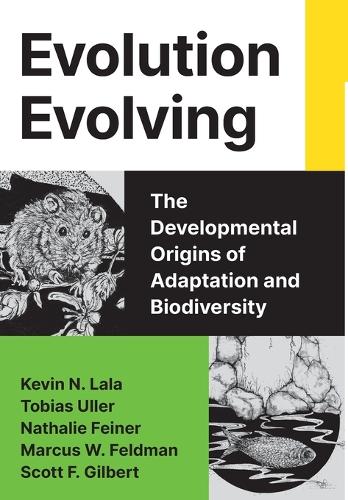 Evolution Evolving