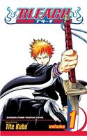 Bleach, Vol. 1