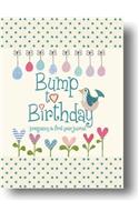 Bump to Birthday, Pregnancy & First Year Journal