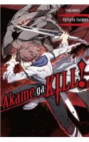 Akame ga KILL!, Vol. 14