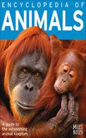 B384FL Encyclopedia of Animals