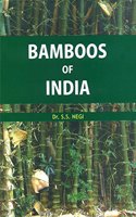 Bamboos of India
