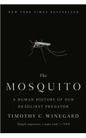 Mosquito