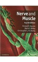 Nerve and Muscle