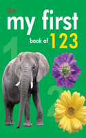 Baby's First Book of Numbers 123