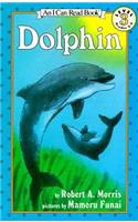 Dolphin