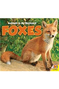 Foxes: (Animals in My Backyard)