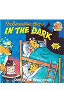 Berenstain Bears in the Dark