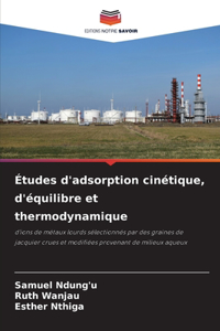 Études d'adsorption cinétique, d'équilibre et thermodynamique