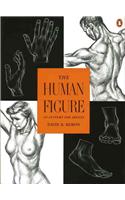 Human Figure