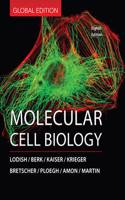 Molecular Cell Biology