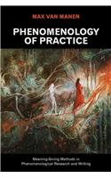 Phenomenology of Practice