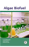 Algae Biofuel