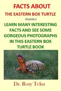 The Eastern Box Turtle
