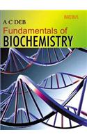 Fundamentals of Biochemistry