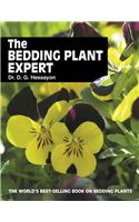 The Bedding Plant Expert