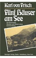 Fünf Häuser Am See