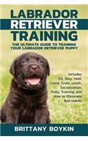 Labrador Retriever Training