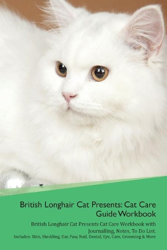 British Longhair Cat Presents