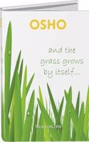 And the Grass Grows By Itself.... Talks on Zen