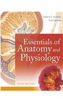 Essentials of Anatomy And Physiology