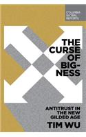 Curse of Bigness