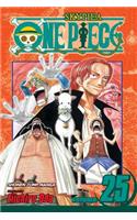One Piece, Vol. 25