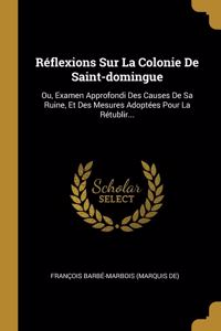 Réflexions Sur La Colonie De Saint-domingue: Ou, Examen Approfondi Des Causes De Sa Ruine, Et Des Mesures Adoptées Pour La Rétublir...