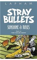 Stray Bullets: Sunshine & Roses Volume 4