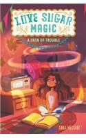 Love Sugar Magic: A Dash of Trouble