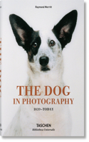 Dog in Photography 1839-Today