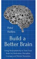 Build a Better Brain