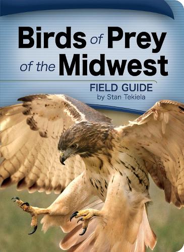 Birds of Prey of the Midwest