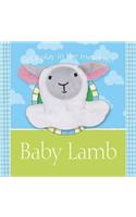 Baby Lamb