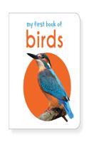 My First Book of Birds