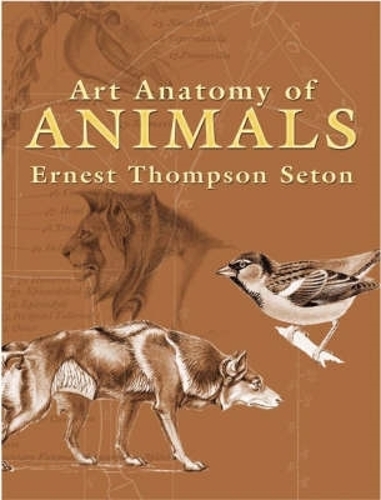Art Anatomy of Animals: (Dover Anatomy for Artists)