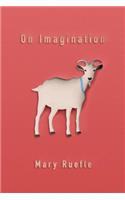 On Imagination