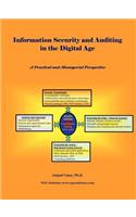 Information Security and Auditing in the Digital Age