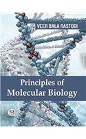 Principles Of Molecular Biology, 2/Ed  - Pb