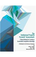 Intellectual Property Pyramid Assessment