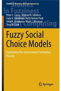 Fuzzy Social Choice Models