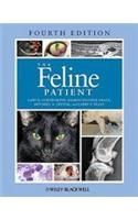 Feline Patient 4E